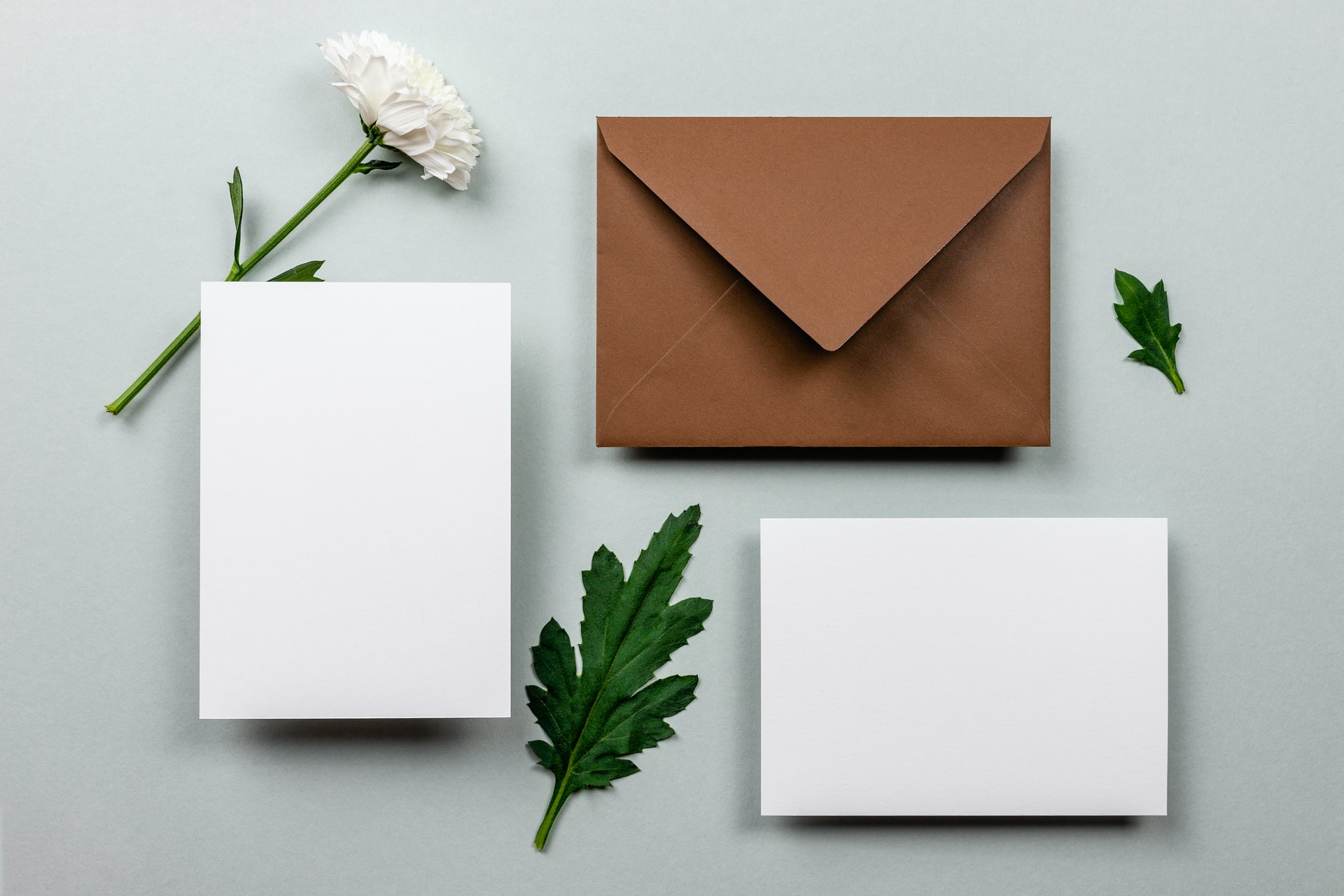 4 outils d’emailing pour vos campagnes et newsletters